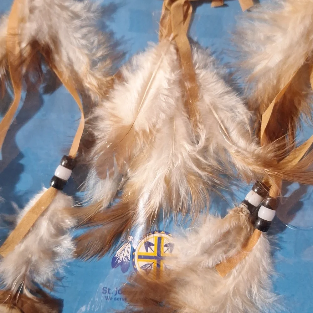NWT Brown Feather Dreamcatcher Wall Decor
